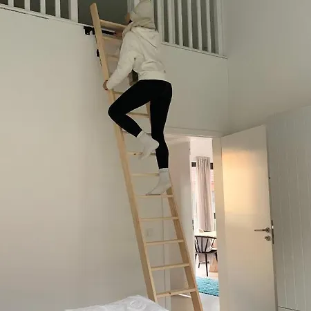 Daire De Ole School Ferienapartments Loft-apartment 29 , Huus Blomen